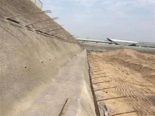 大通河道边坡加固